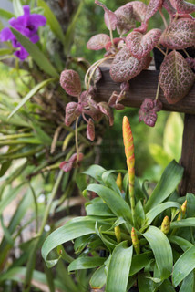 做工的人 视频截图