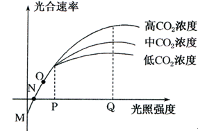 不一樣的夏天 视频截图