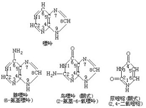 三槍拍案驚奇 视频截图