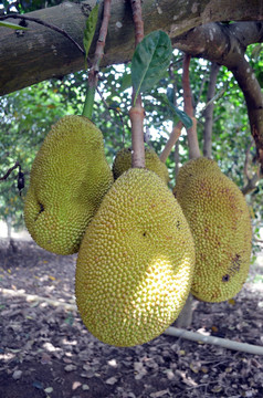 世界毀滅者 视频截图