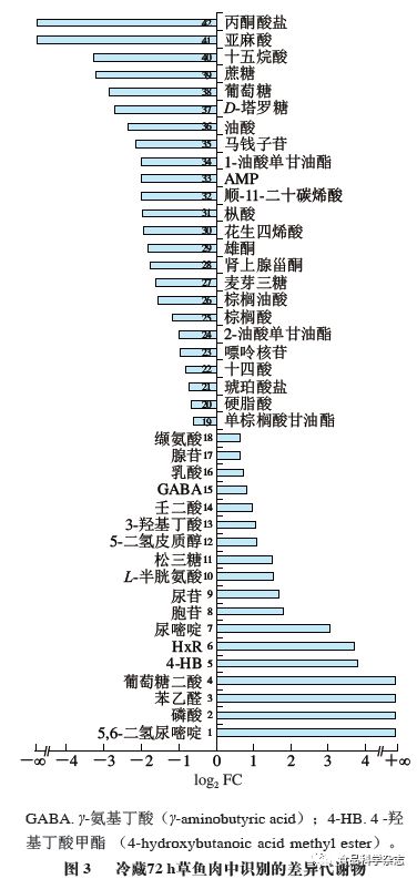 不良關係之如果沒有你 视频截图