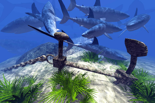 東京奏鳴曲 视频截图