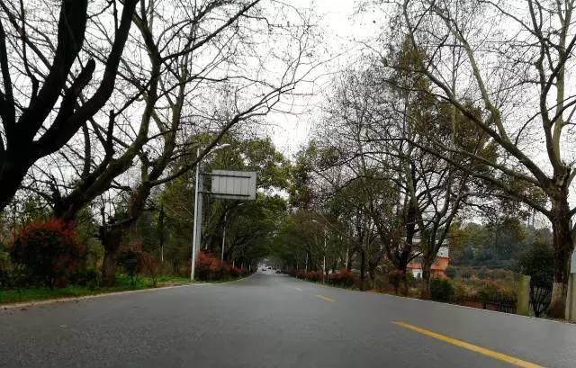 東北倆兄弟 视频截图