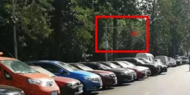 叢林2：世界之旅 视频截图