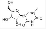 不同星球的奇怪戀人 视频截图