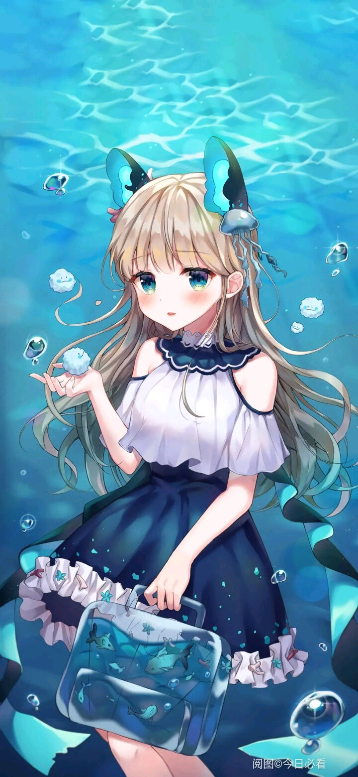 不死鳥 视频截图