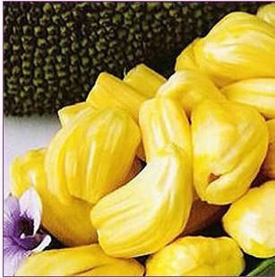 上門債 视频截图