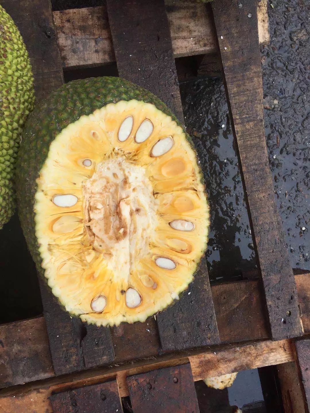 偷天換日（國語版） 视频截图