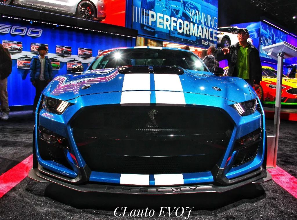 兄弟同體 视频缩略图