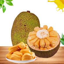 三更車庫 视频截图