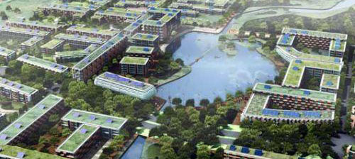 世紀之緣 产品图片