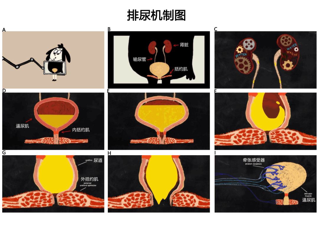 僵屍之地 视频截图