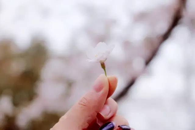 與魔鬼同行 视频截图