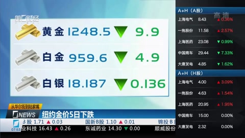 萬物生靈：2024聖誕特別集 产品图片