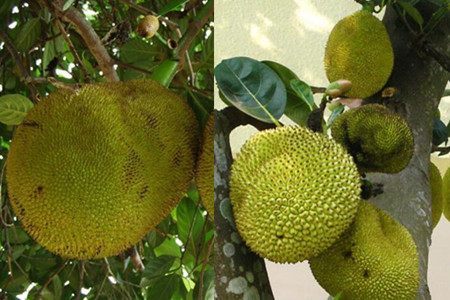 不知從何處來的女孩 视频截图