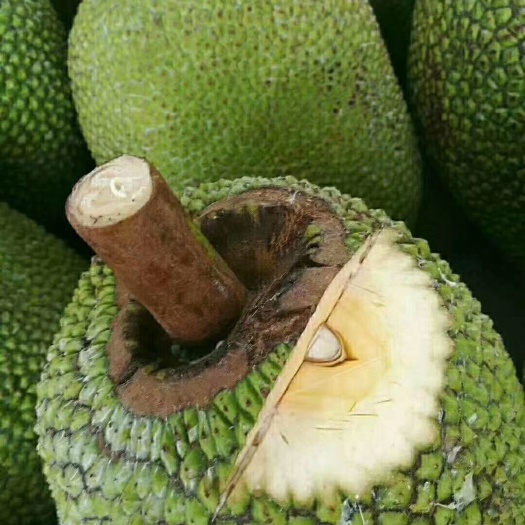 元帥之死 视频截图