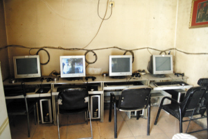 上岸的魚 视频截图