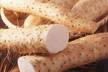 東雲色的周末 产品图片