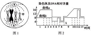 僵屍怕怕 视频截图