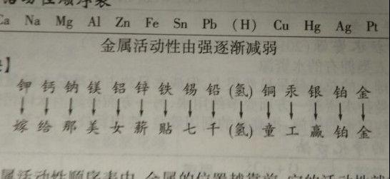 不期而遇 视频截图