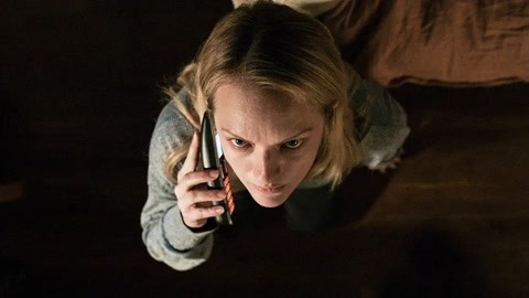 醜小鴨曆險記 视频截图