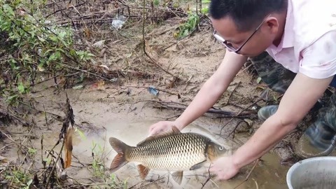 丈夫、父親、殺手：Alyssa Pladl 的故事 产品图片