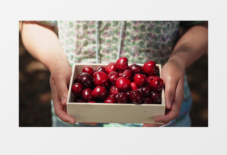 不要仇恨 视频截图