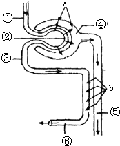 與你再遇鮮花盛開之丘 视频截图