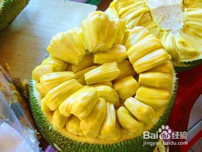 叢林有情狼 视频截图