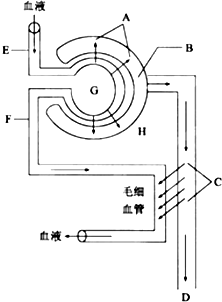 大聖重生之鬥戰逆天 视频截图
