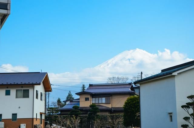 三個魯伯特 视频截图