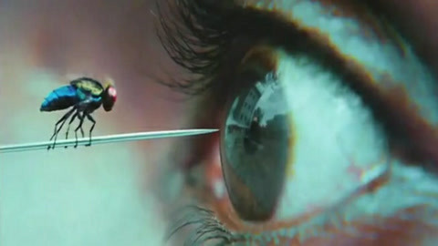 東北雷神2 视频截图