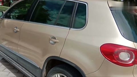 下一球成名 视频截图