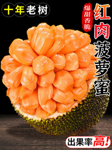 萬裏追凶 产品图片