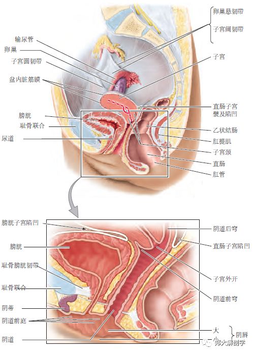 三審奇石 产品图片
