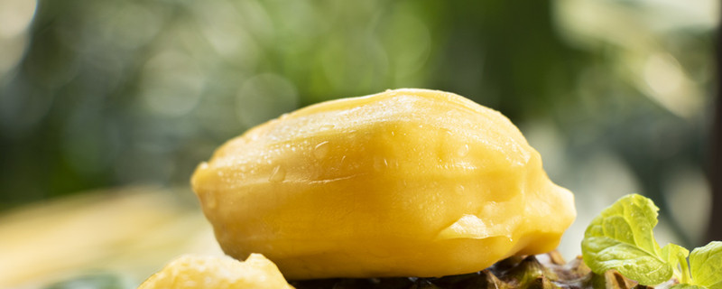 東北告別天團 产品图片