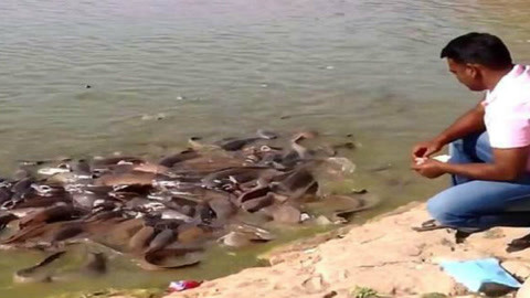 偷心俏佳人 视频截图