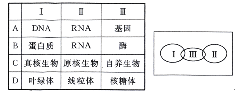 不及格：放學後