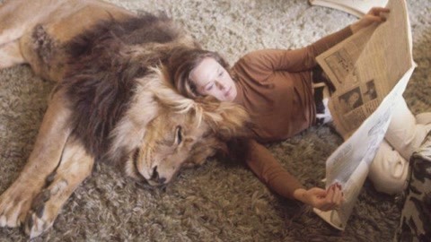 三審奇石 视频截图