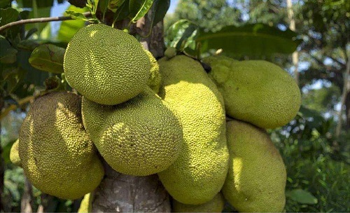 萬古流芳 视频截图