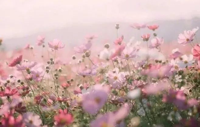 叢林2：世界之旅 视频截图