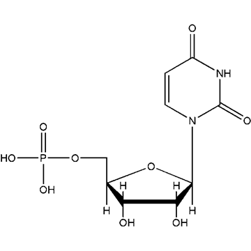 上海灘之猛龍闖金關 视频截图