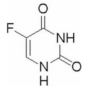 與恐龍同行 视频截图