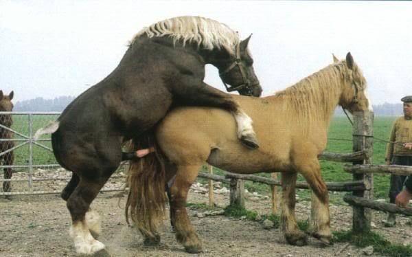 不及格：放學後 视频截图