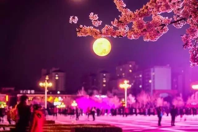 三狼奇案 视频截图