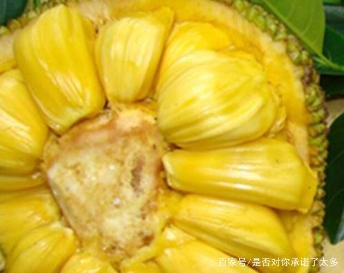 不眠之夜 视频截图