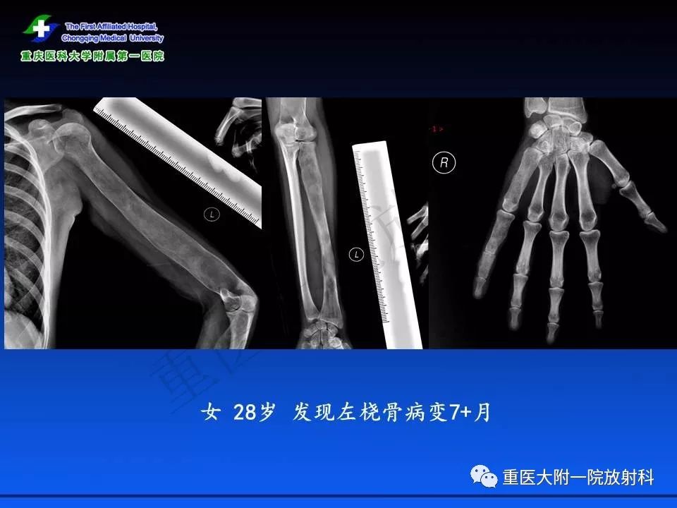 史酷比 视频截图