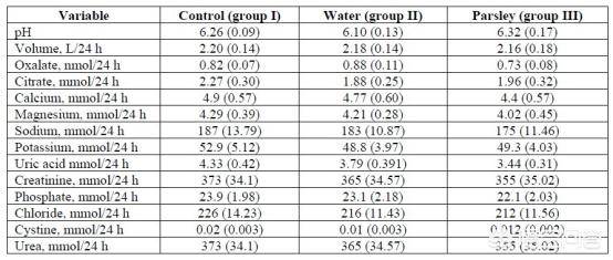 下一個聖誕節見 视频截图