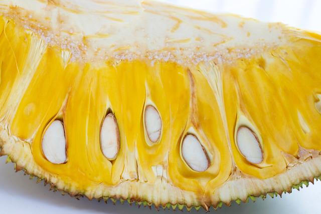 上帝忘記的城市 视频截图