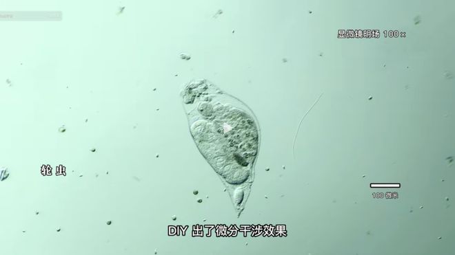 傻冒經理 视频截图